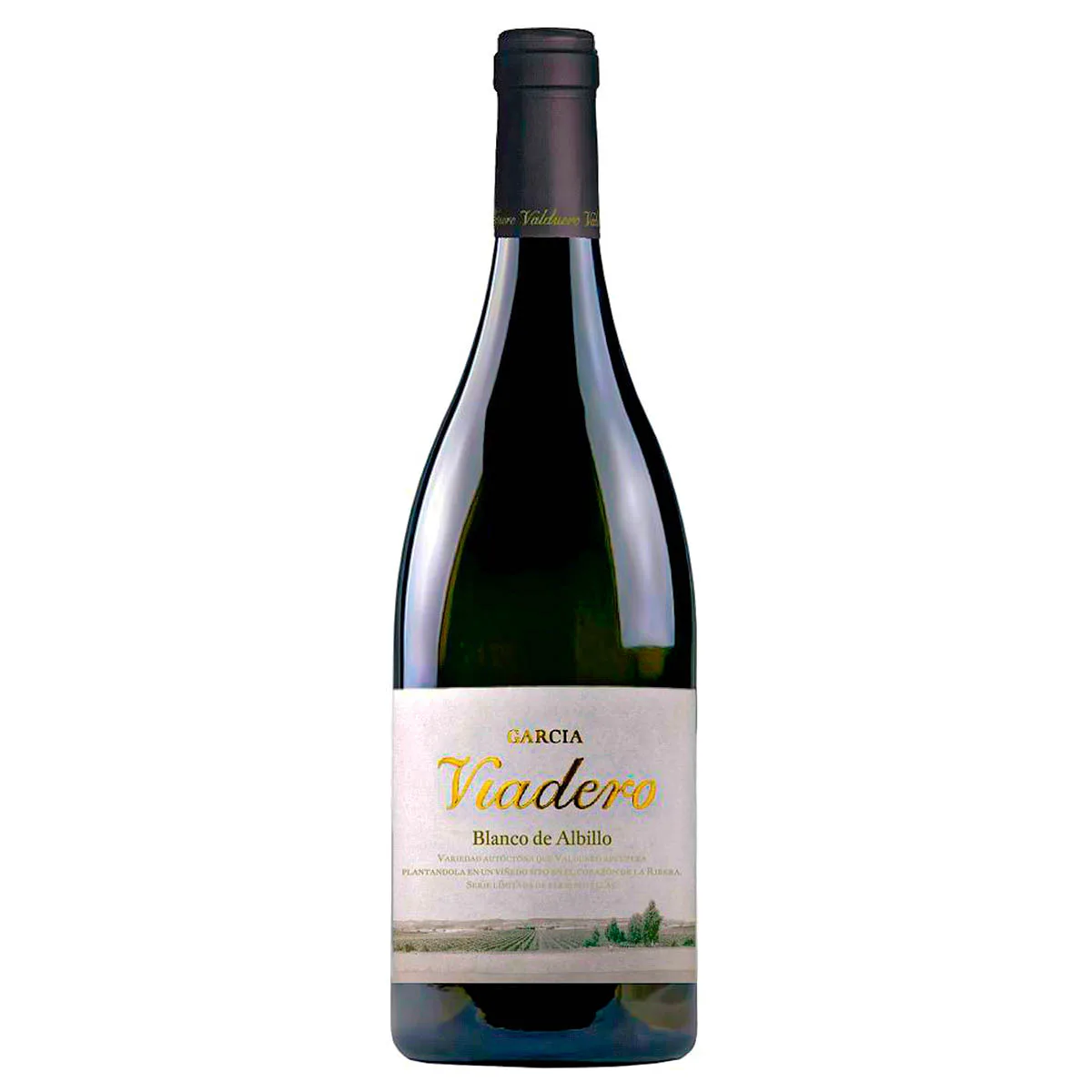 VINO BLANCO GARCIA VIADERO DE ALBILLO 2018