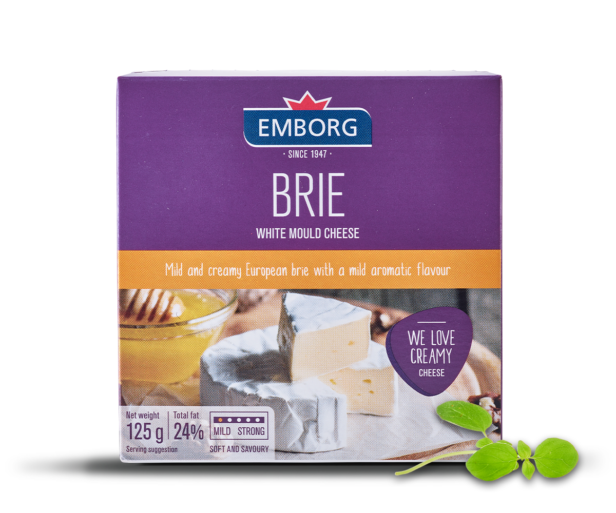 QUESO BRIE EMBORG 125GR