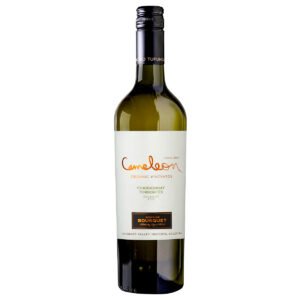 VINO CAMELEON CHARDONNAY