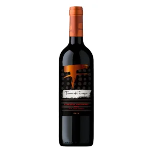 VINO TINTO TIERRA DEL FUEGO CABERNET SAUVIGNON